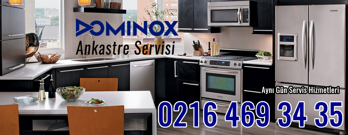Kuzguncuk Dominox Servisi